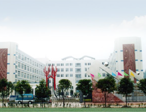 乐山外国语小学学校食堂好色先生TV污视频设备工程项目