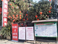 疫情无情人有情，我为抗疫做贡献！